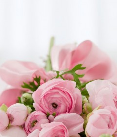 Flowers Flowers